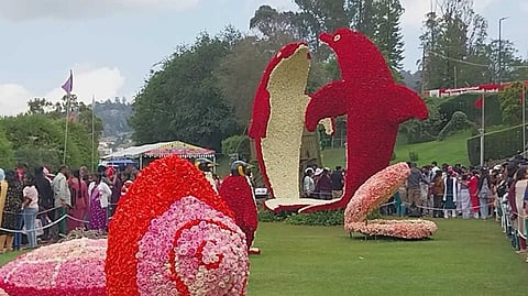 NLG Flower show