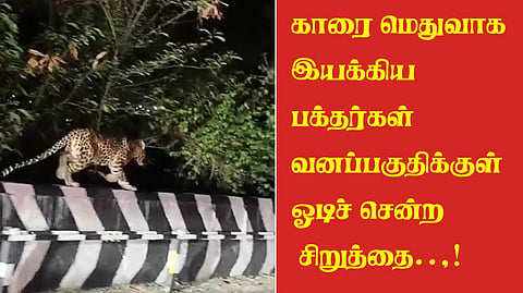 Thirupathi cheeta