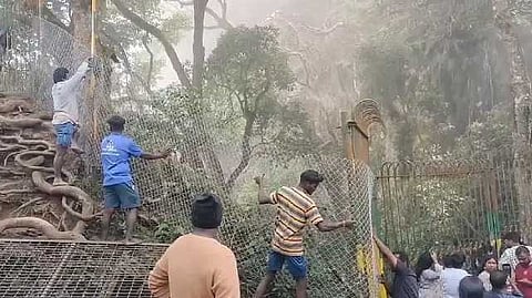 Kodaikanal