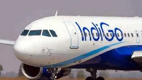 Indigo flight