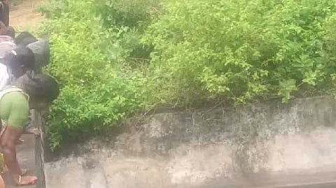 Udumalai