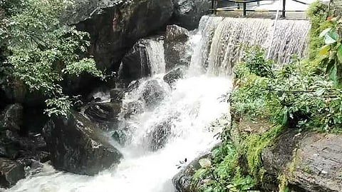 Theni