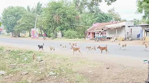 Krishnagiri