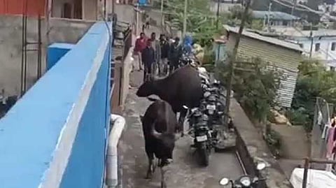 Dindigul