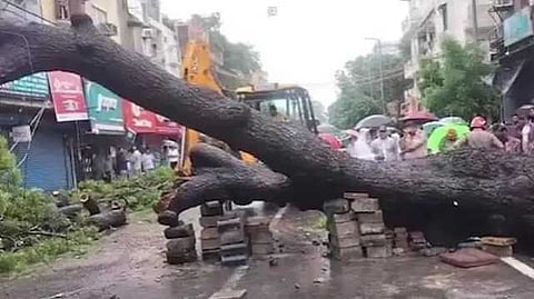Delhi