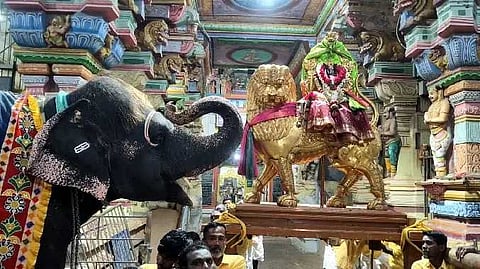 RMD Elephant prayer