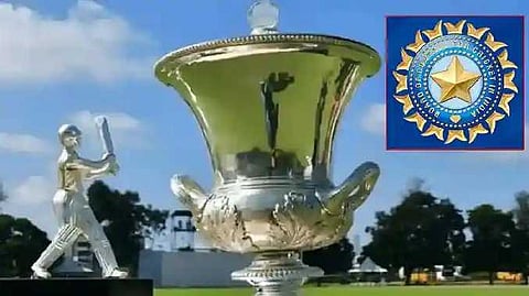 Tulip trophy