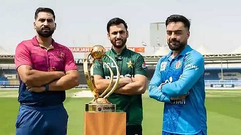 Traingle cricket