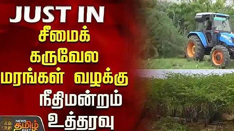 Seemai karuvela maram
