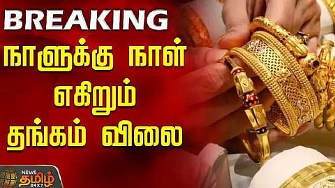 Gold rate high