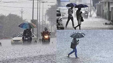 rain