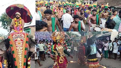 elephant rally