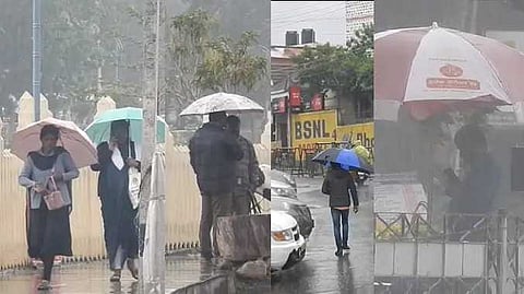rain