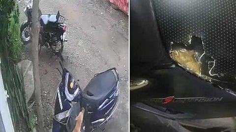 CHN Chengalpattu dog byte seat