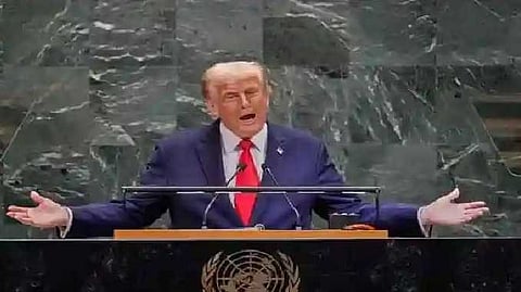 Trumph need nobel