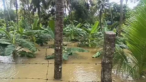Kanyakumari