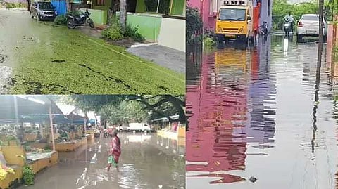 arani rain