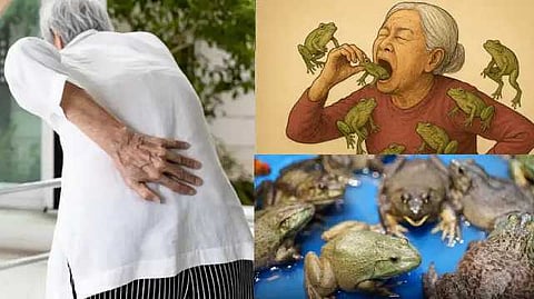 living frogs