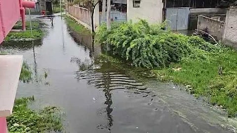 VLR Rain