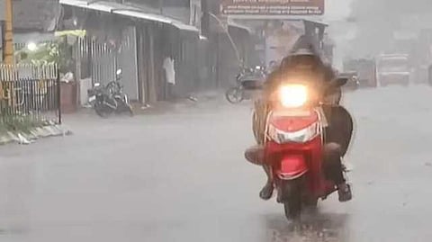 rain