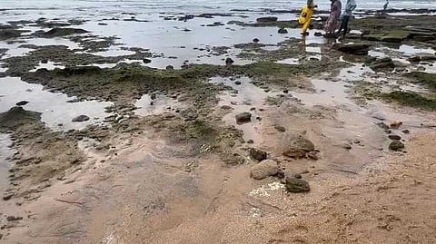 TUT Sea issue
