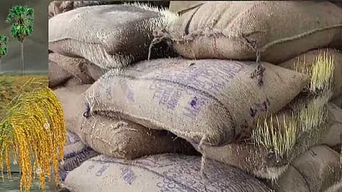 paddy damage