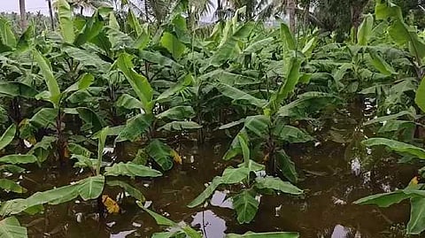 VLR Water flood