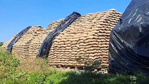 CDL Paddy bag