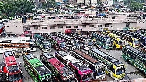 omni bus