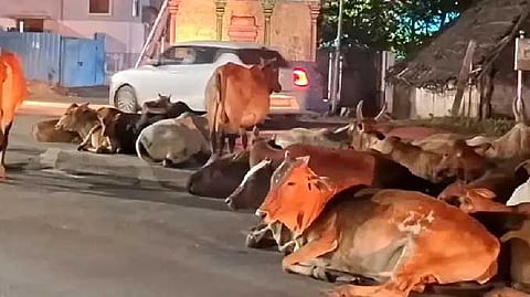 KNC COW issue