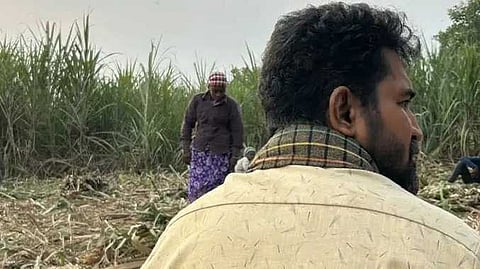 vIJAY ANTONY