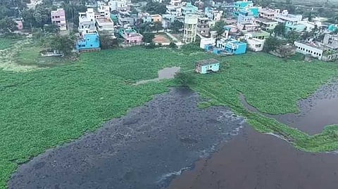 TVL Environment