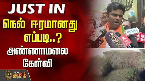 BJP Annamalai