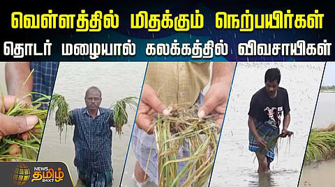 paddy damage