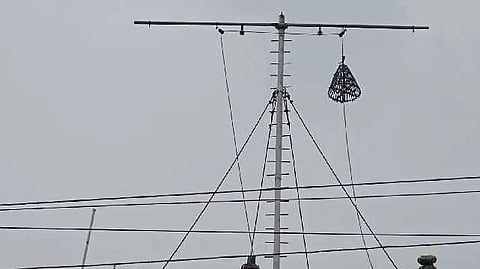 Alert Cage Raised