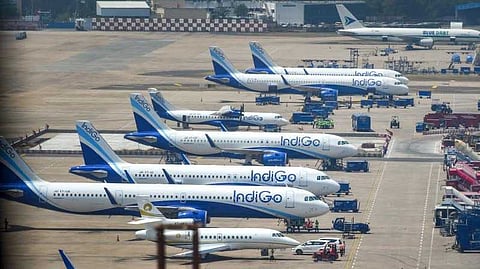 indigo