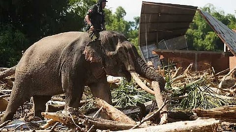 indonesia