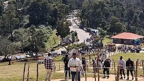 Tourist crowd