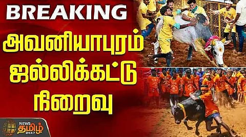 Jallikattu