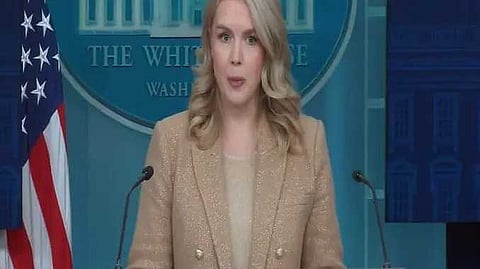 White house 1