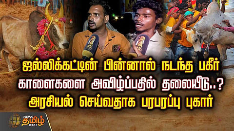 jallikattu