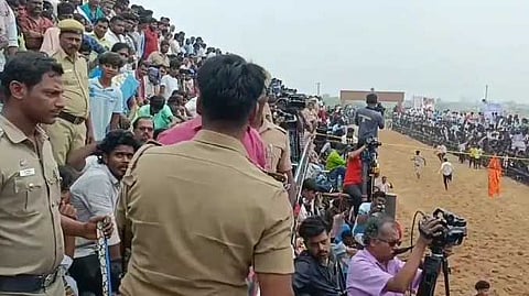 TRY Jallikattu