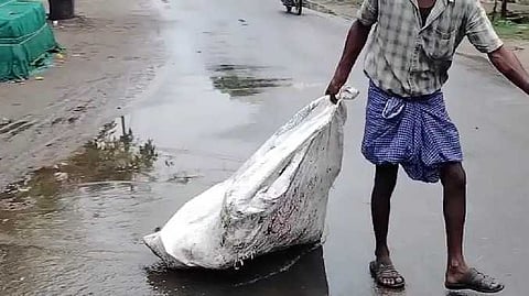 Myd gARBAGE ISSUE