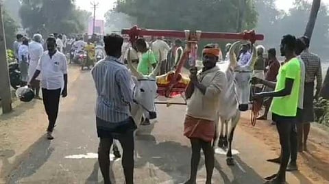 PDY Bullcot race