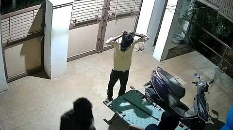 TUT Theft