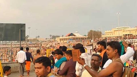 Tut crowd