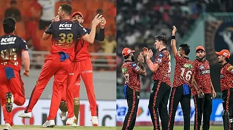 IPL News