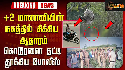 crime news