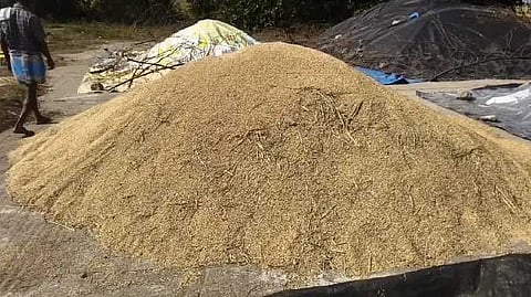 CGL Paddy issue