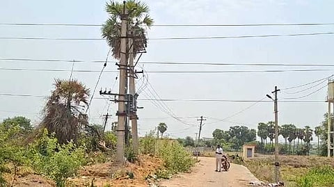 சிறு மாங்காடு